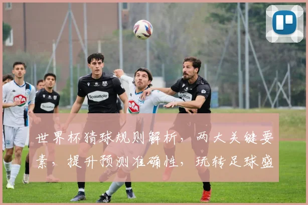 世界杯猜球规则解析，两大关键要素，提升预测准确性，玩转足球盛宴
