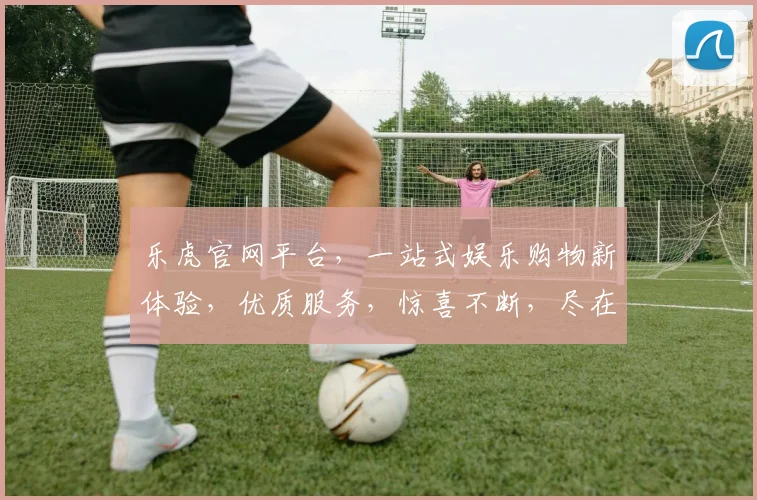 乐虎官网平台，一站式娱乐购物新体验，优质服务，惊喜不断，尽在乐虎