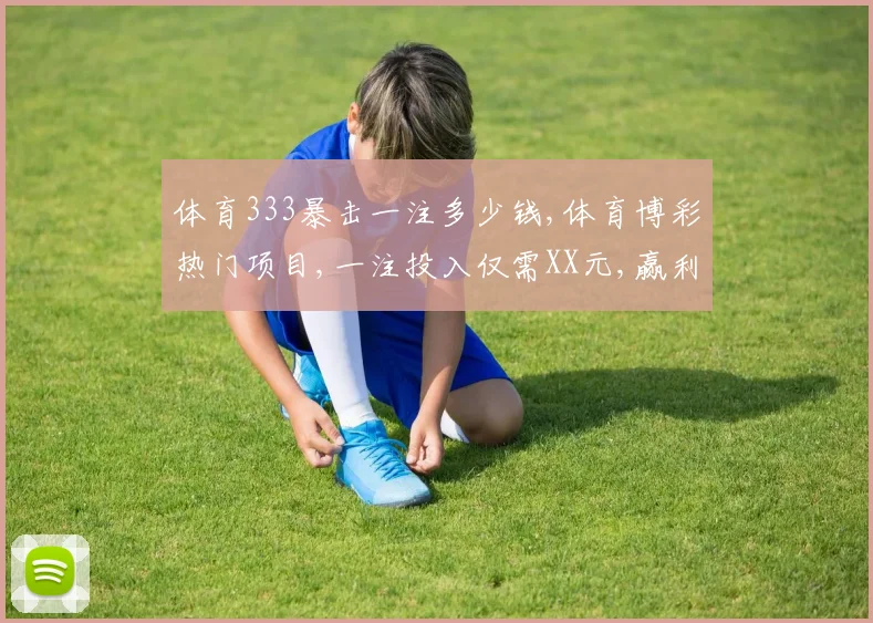 体育333暴击一注多少钱,体育博彩热门项目,一注投入仅需XX元,赢利翻倍